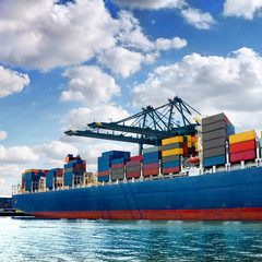 Cargo sea port. Sea cargo cranes.