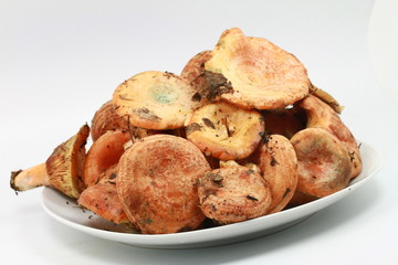 assiette de champignons