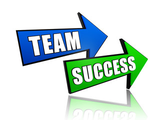 team and success in arrows