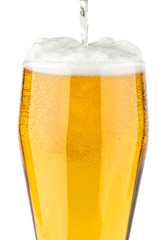 Glass of light beer