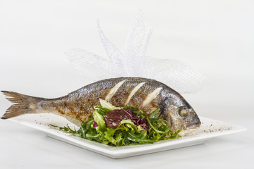 Dorada fish with salad on the white plate. Studio shot