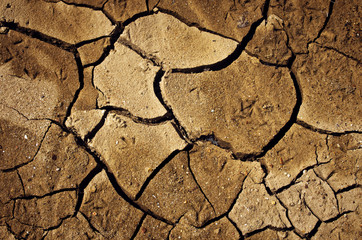 Dry Land