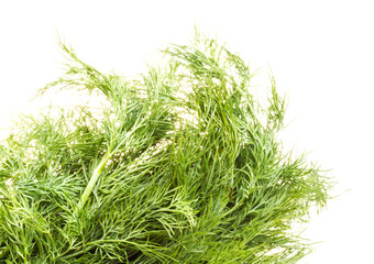 Fresh branches of green dill isolated on white background.