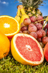 Fitness composition with light background