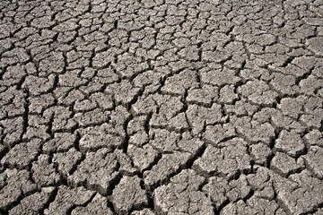 Drought earth