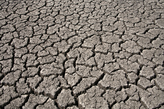 Drought earth