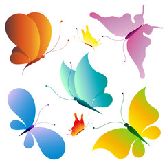 butterfly,butterflies