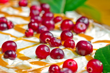 Closeup of cranberry ice cream dessert