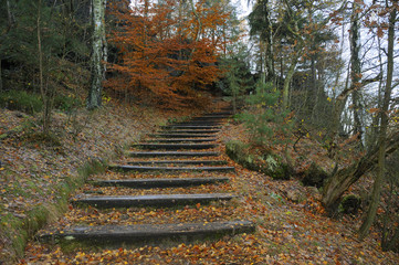 Herbst