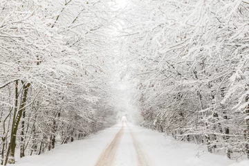 Papier Peint photo autocollant Hiver Winter landscape with road surrounded by trees