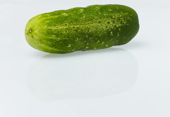 Cucumber
