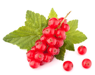 Red currants and green leaves still life