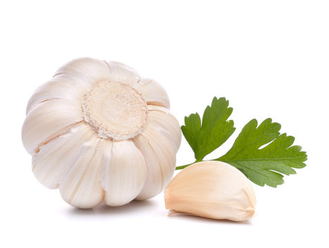 garlic bulb