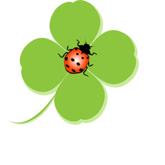 Kleeblatt mit Marienkäfer, Vektor