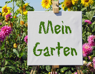 Mein Garten