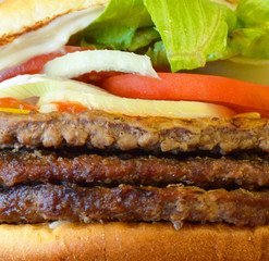 Burger macro shot
