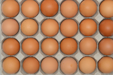 Eggs in a carton closeup view