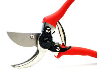 Close-Up Of Pruning Shears