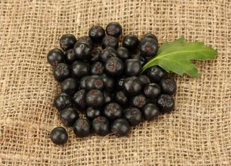 chokeberry with green leaf on sack background close-up