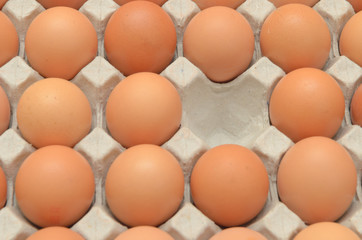 Eggs in a carton closeup view