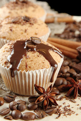 tasty muffin cakes with chocolate, spices and coffee seeds,