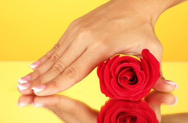 Red rose with woman's hand on yellow background, close-up