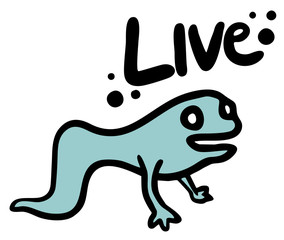 Animal live