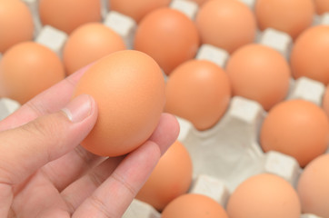 Hand select egg in carton