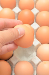 Hand select egg in carton