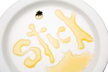 Text written with honey on plate