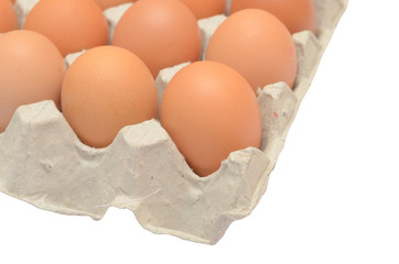 Eggs in a carton isolated on white background