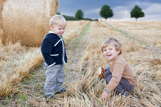Two little toddler boys playing on straw field