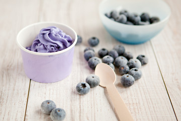 Frozen creamy ice yoghurt  with whole blueberries