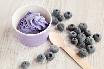 Frozen creamy ice yoghurt  with whole blueberries