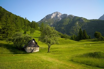 Alpine landscape with green grass