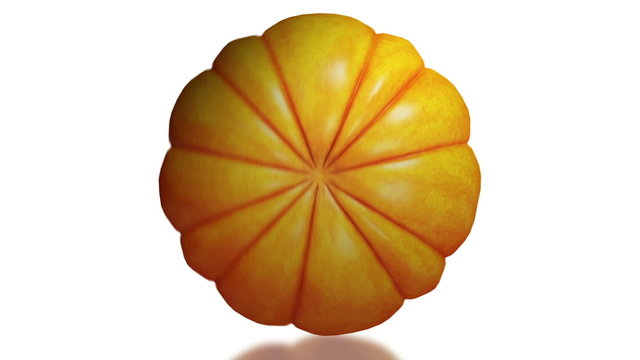 Pumpkin, seamless loop on white background