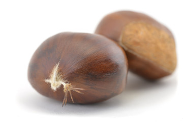 Chestnut