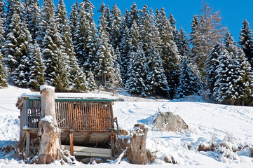 Hut on a slope in the snow