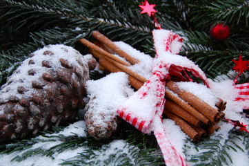Grußkarte - Zimtstangen und Tannenzapfen im Schnee - Dekoration zu Weihnachten