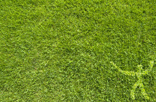 Sport fence on green grass texture and  background