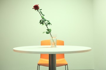 single red rose