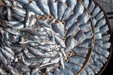 Sun fish  in threshing basket .