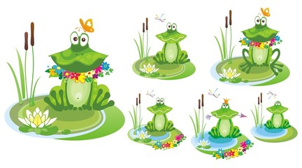 Fototapeta premium Frog. Vector illustration.