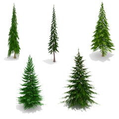 3d trees pack isolated on white with ground shadows