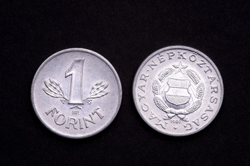moneta da un fiorino ungherese (1989)