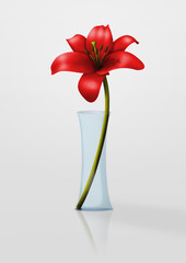 Red Flower - Transparent Jar - 46860075