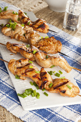 Roasted Chicken Kebab