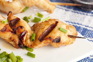 Roasted Chicken Kebab