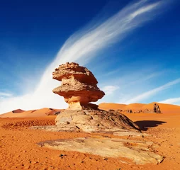 Tuinposter Saharawoestijn, Algerije © Dmitry Pichugin