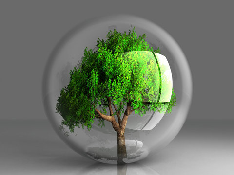 a green tree in a transparent bubble